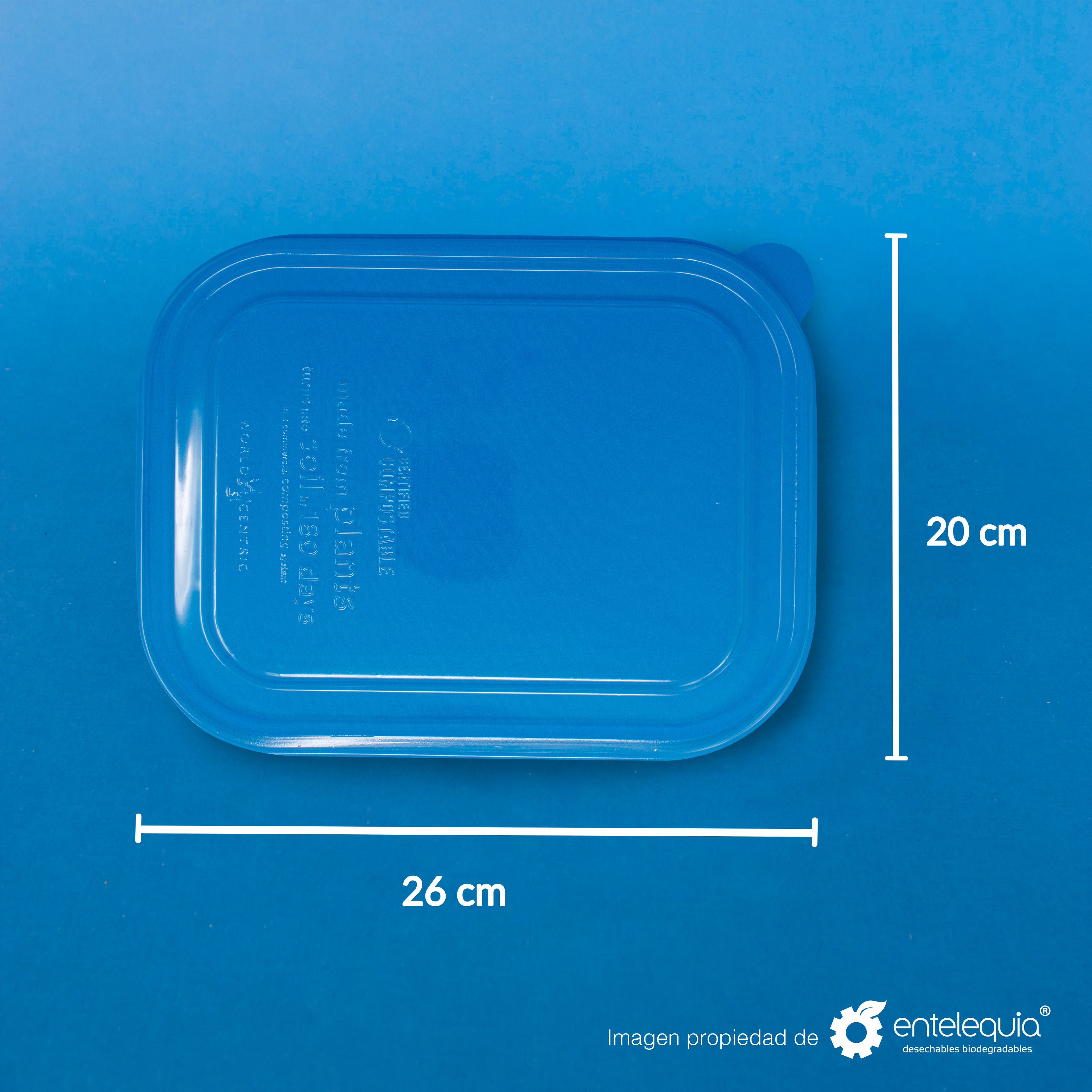 Tapa PLA Contenedor Rectangular Grande Liso TP10X8L - Desechable Biodegradable Entelequia 400 pzas