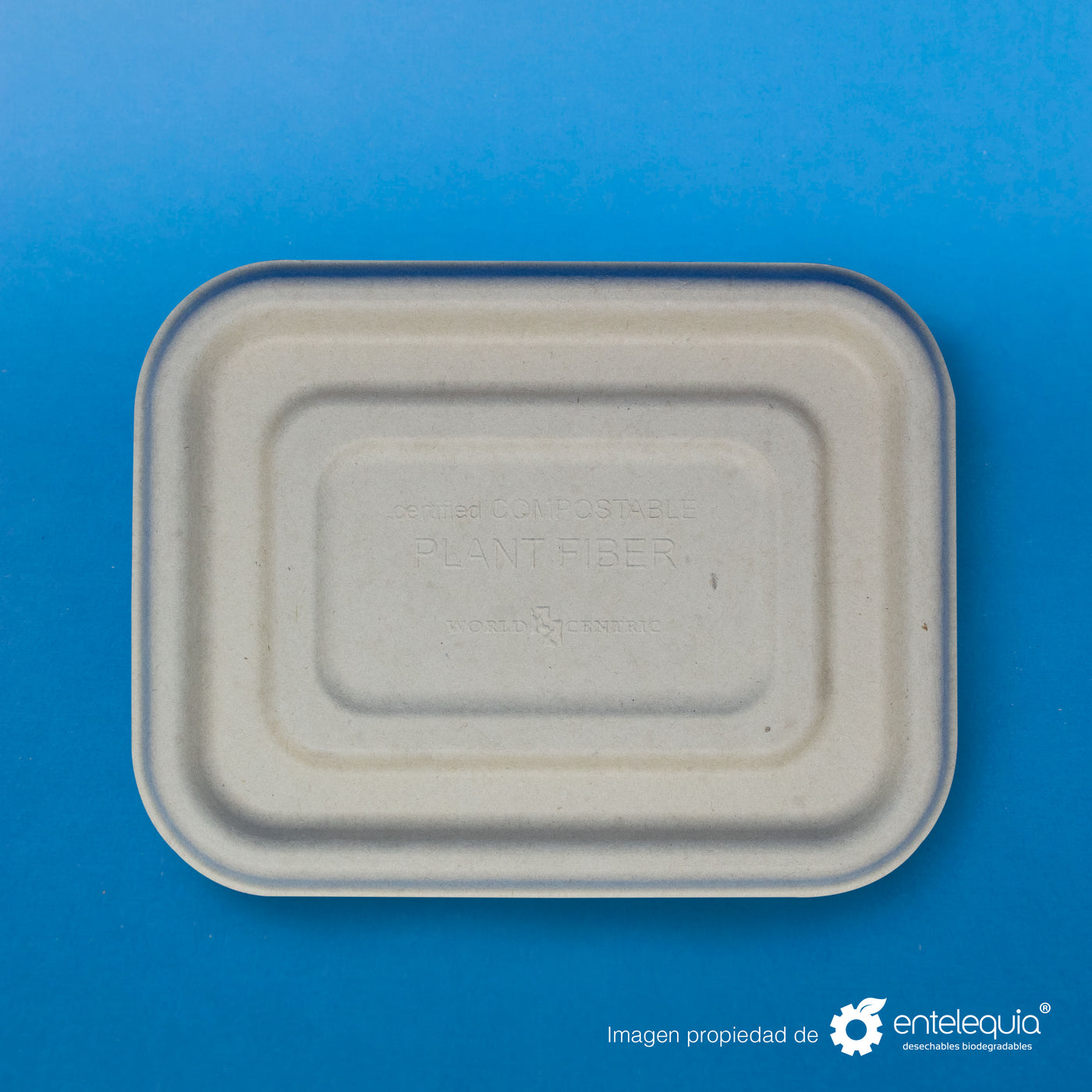 Tapa de paja 6x5 – Entelequia® Desechables Biodegradables