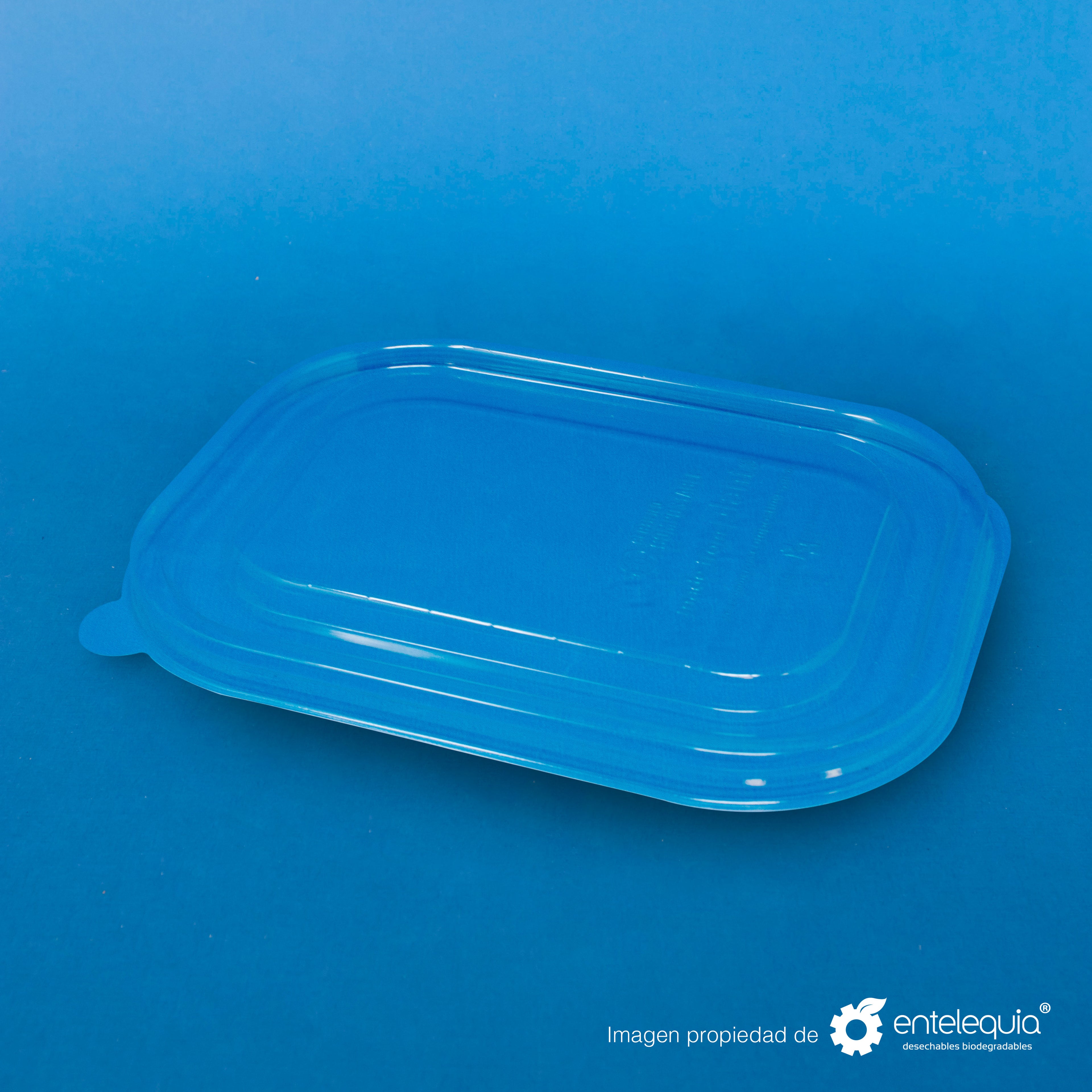Tapa PLA 1 división TP8X6L - Desechable Biodegradable Entelequia 400 pzas