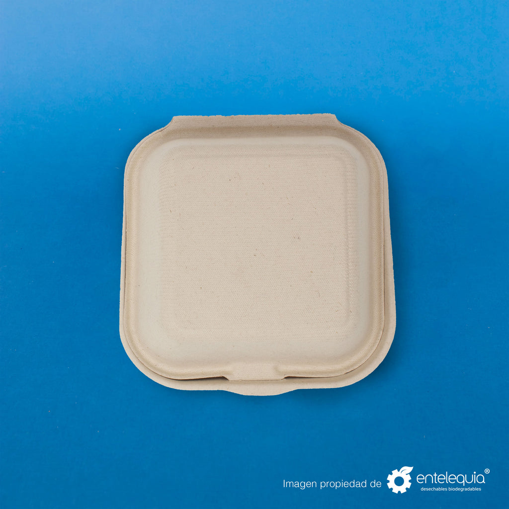 Almeja Hamburguesera Paja de Trigo 6x6 " - Desechables Biodegradables Entelequia® 50/500 pzas
