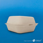 Almeja Hamburguesera Paja de Trigo 6x6 " - Desechables Biodegradables Entelequia® 50/500 pzas