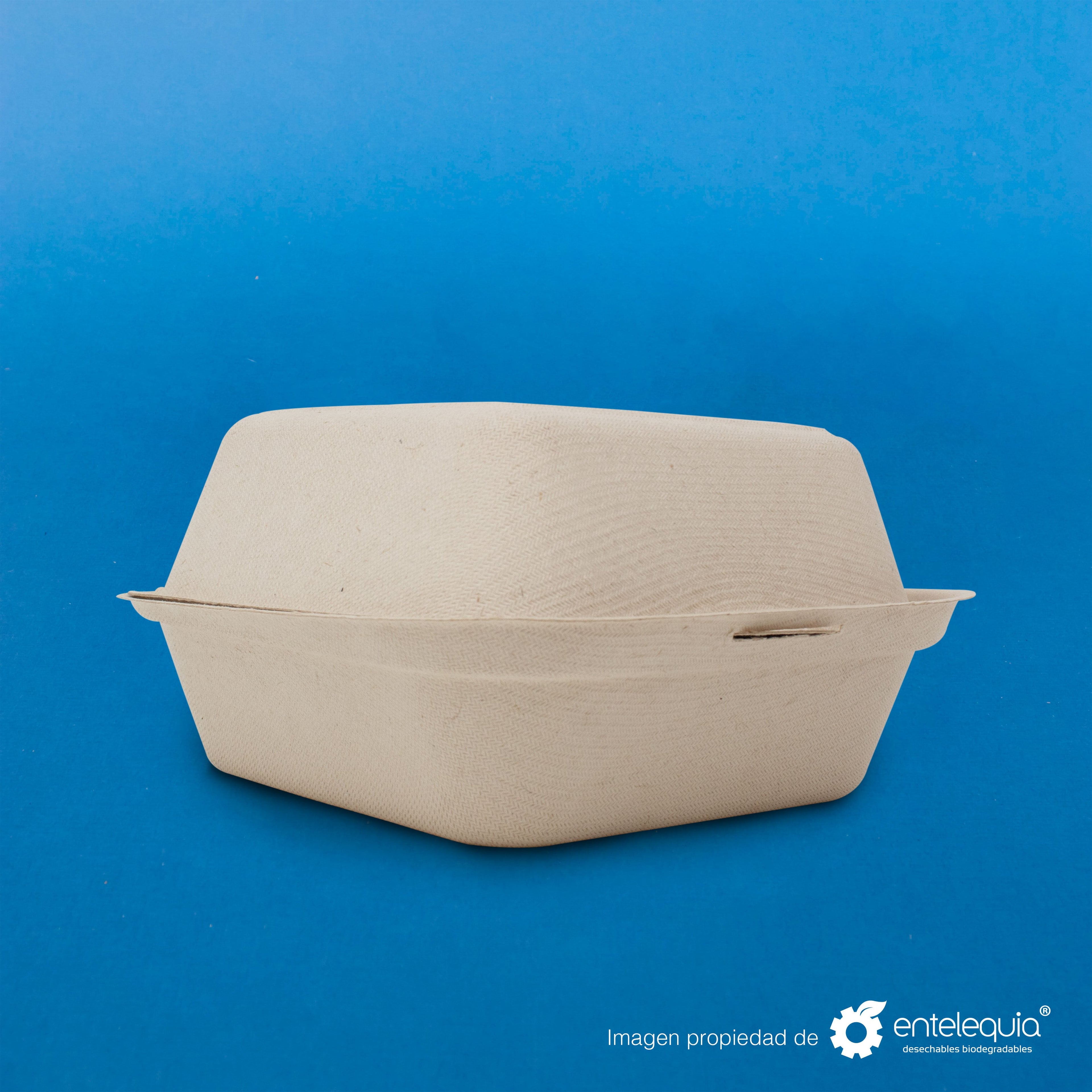 Almeja Hamburguesera Paja de Trigo 6x6 " - Desechables Biodegradables Entelequia® 50/500 pzas