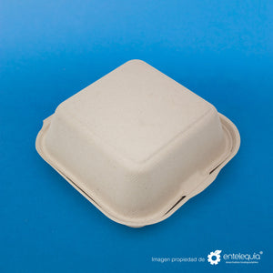 Almeja Hamburguesera Paja de Trigo 6x6 " - Desechables Biodegradables Entelequia® 50/500 pzas