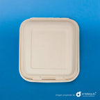 Almeja Cuadrada Lisa Paja de Trigo AL8 - Desechable Biodegradable Entelequia 50/200 pzas