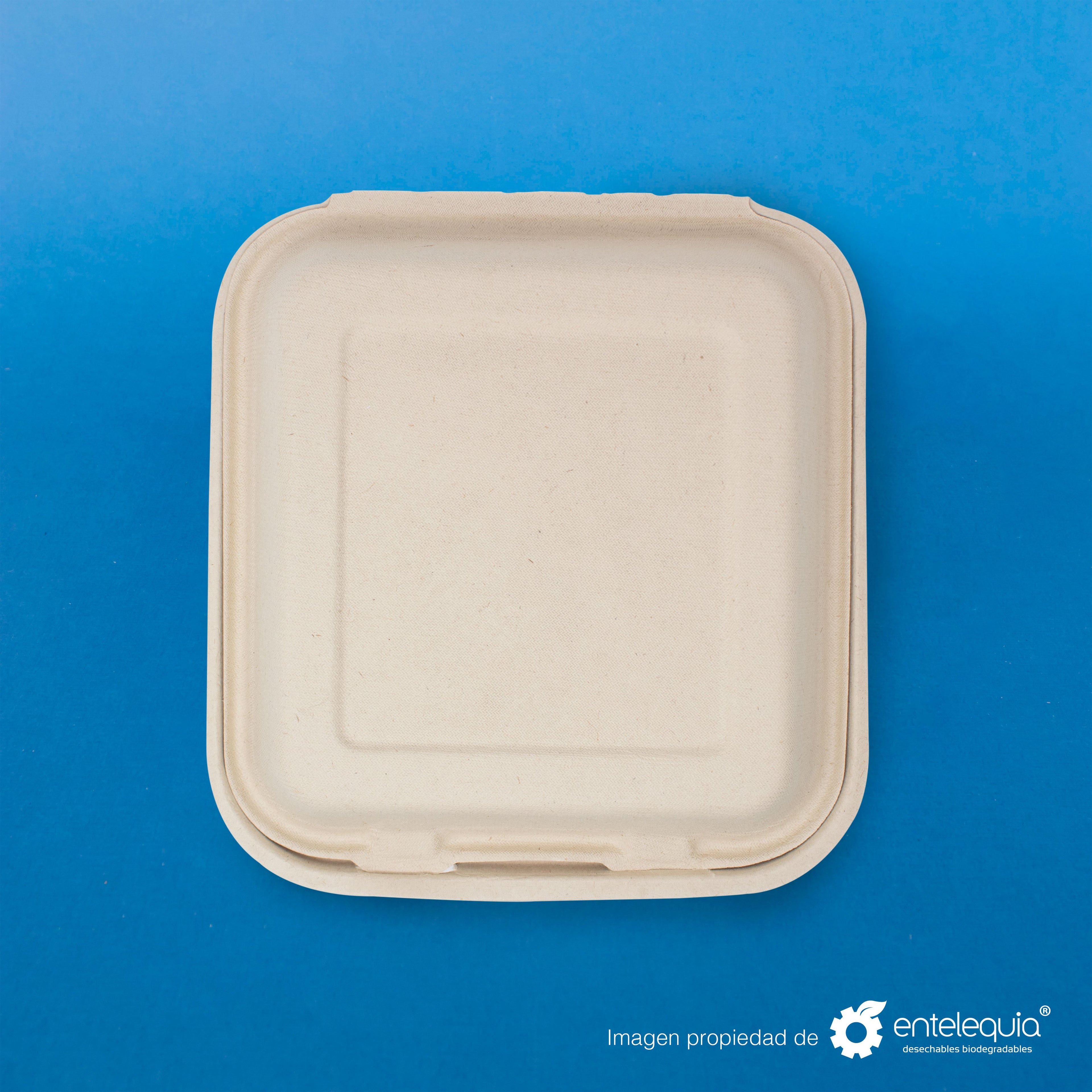 Almeja Cuadrada Lisa Paja de Trigo AL8 - Desechable Biodegradable Entelequia 50/200 pzas