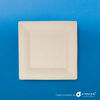 Plato cuadrado Paja de Trigo 10" - Desechable Biodegradable Entelequia 500 pzas