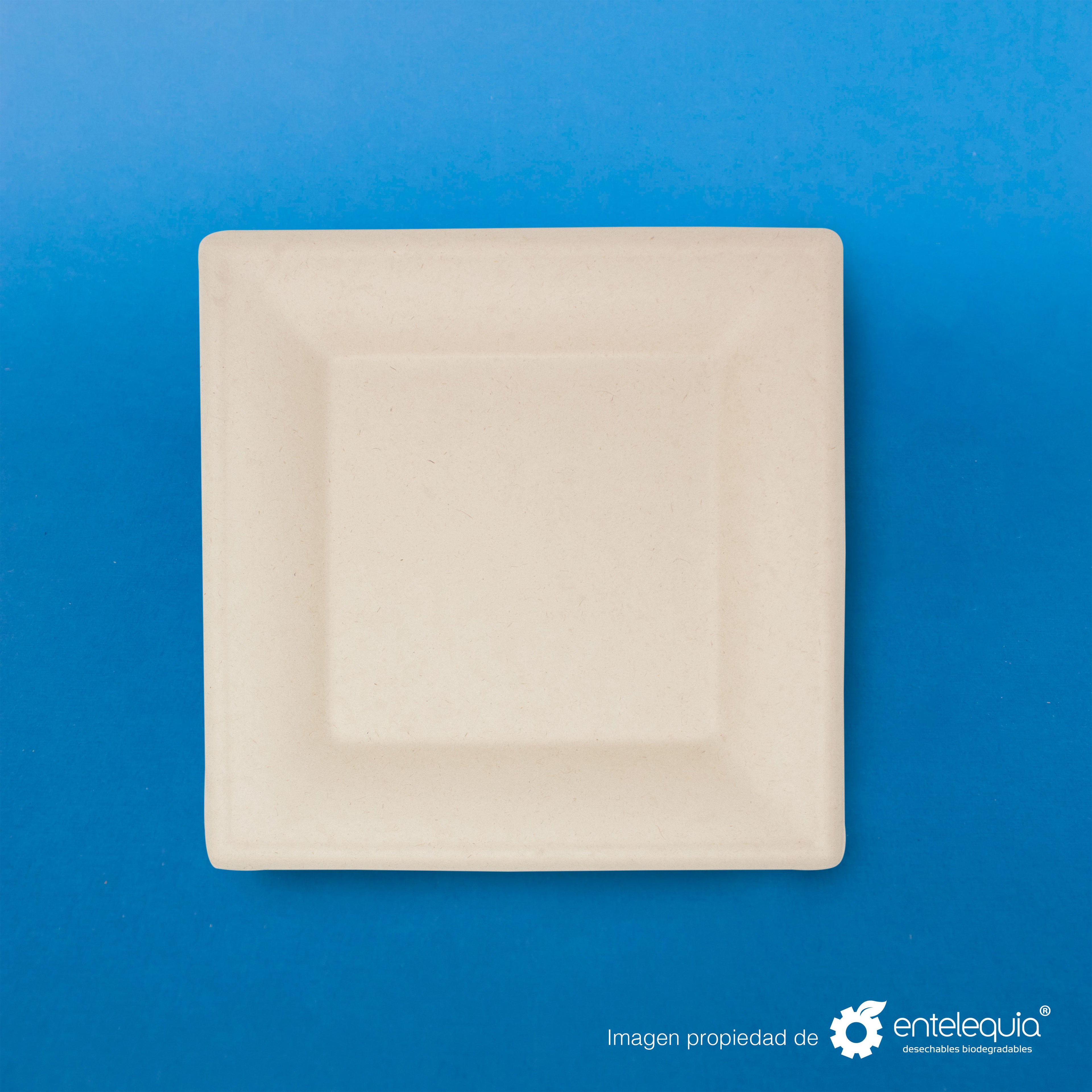 Plato cuadrado Paja de Trigo 10" - Desechable Biodegradable Entelequia 500 pzas