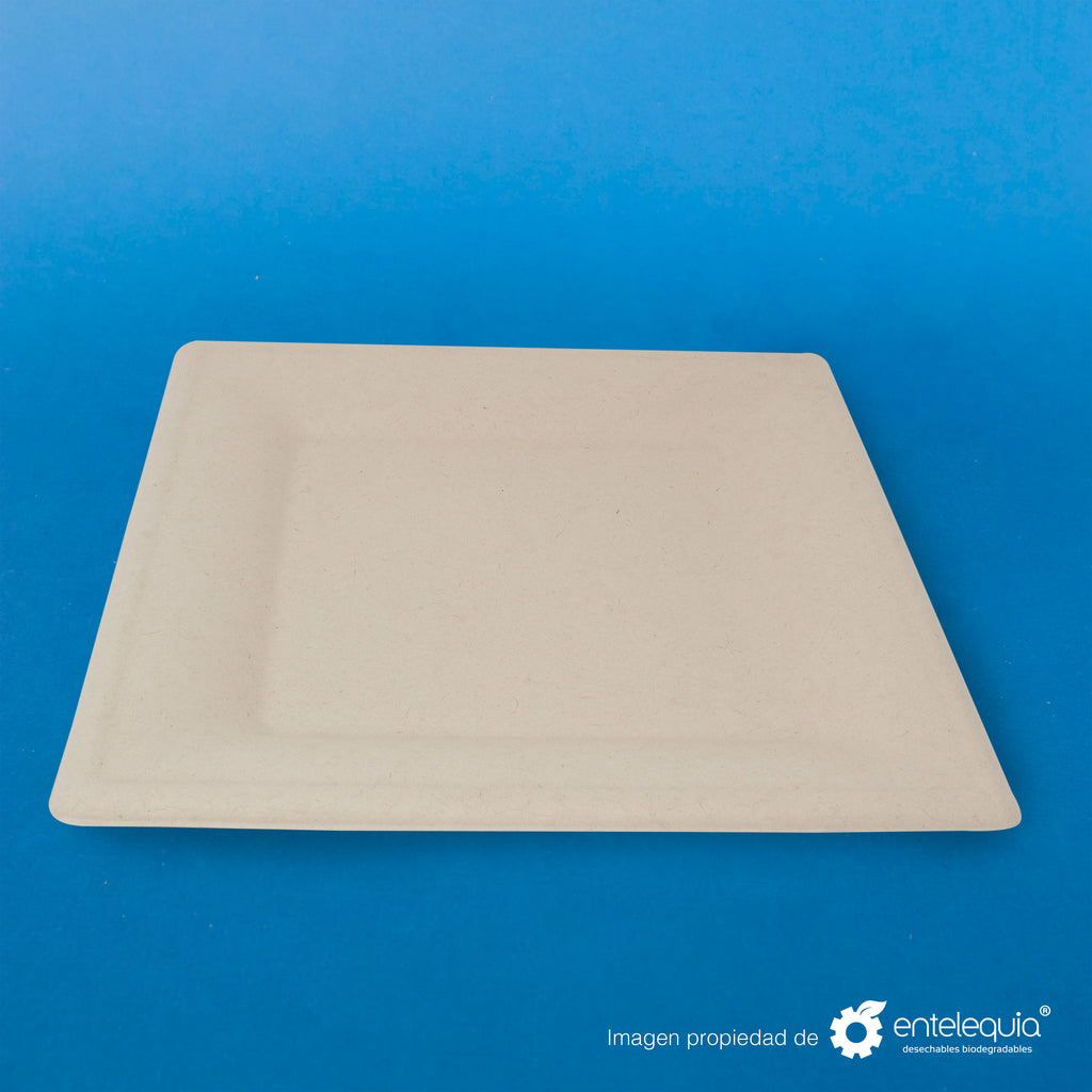Plato cuadrado Paja de Trigo 10" - Desechable Biodegradable Entelequia 500 pzas