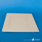 Plato cuadrado Paja de Trigo 10" - Desechable Biodegradable Entelequia 500 pzas