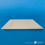 Plato cuadrado Paja de Trigo 10" - Desechable Biodegradable Entelequia 500 pzas