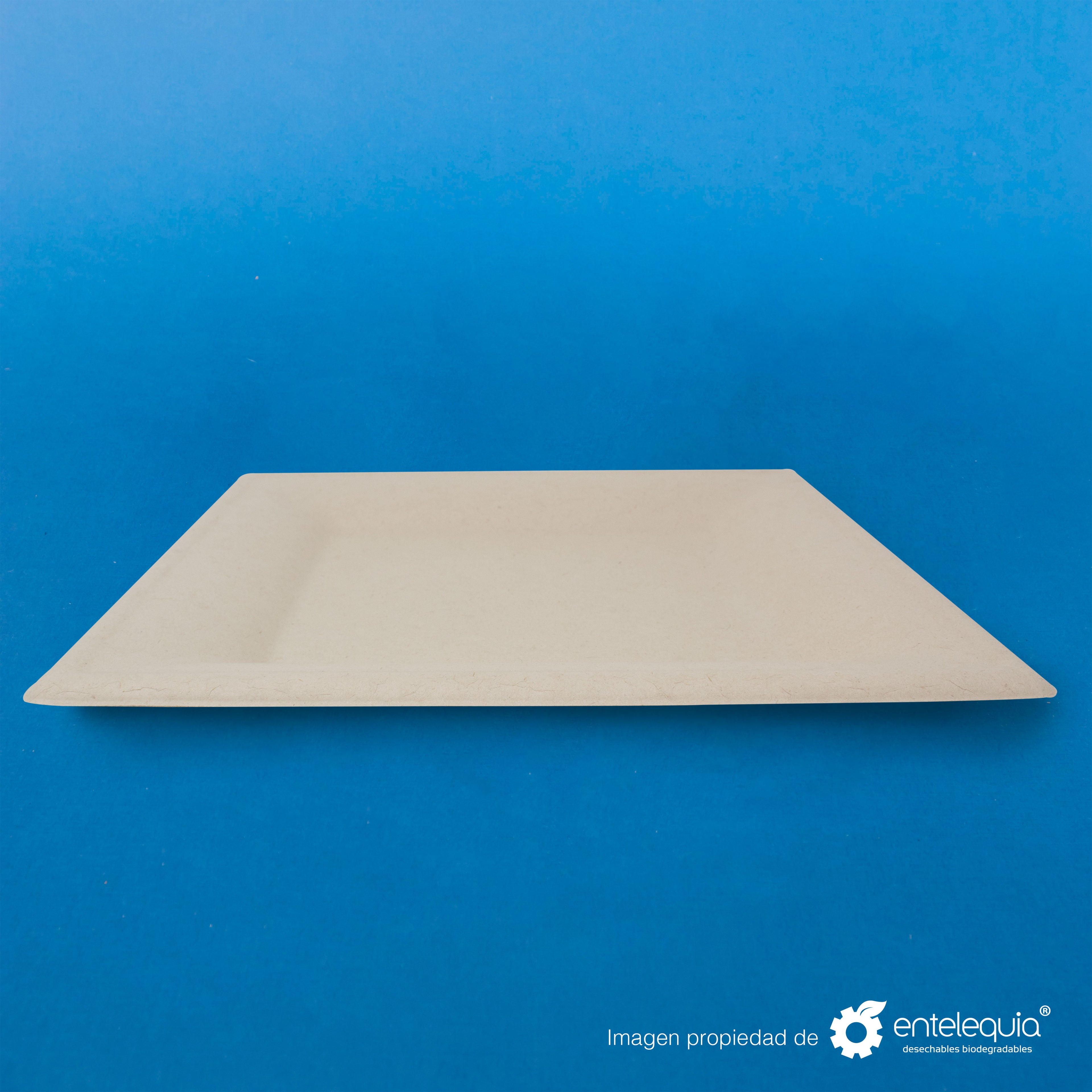 Plato cuadrado Paja de Trigo 10" - Desechable Biodegradable Entelequia 500 pzas