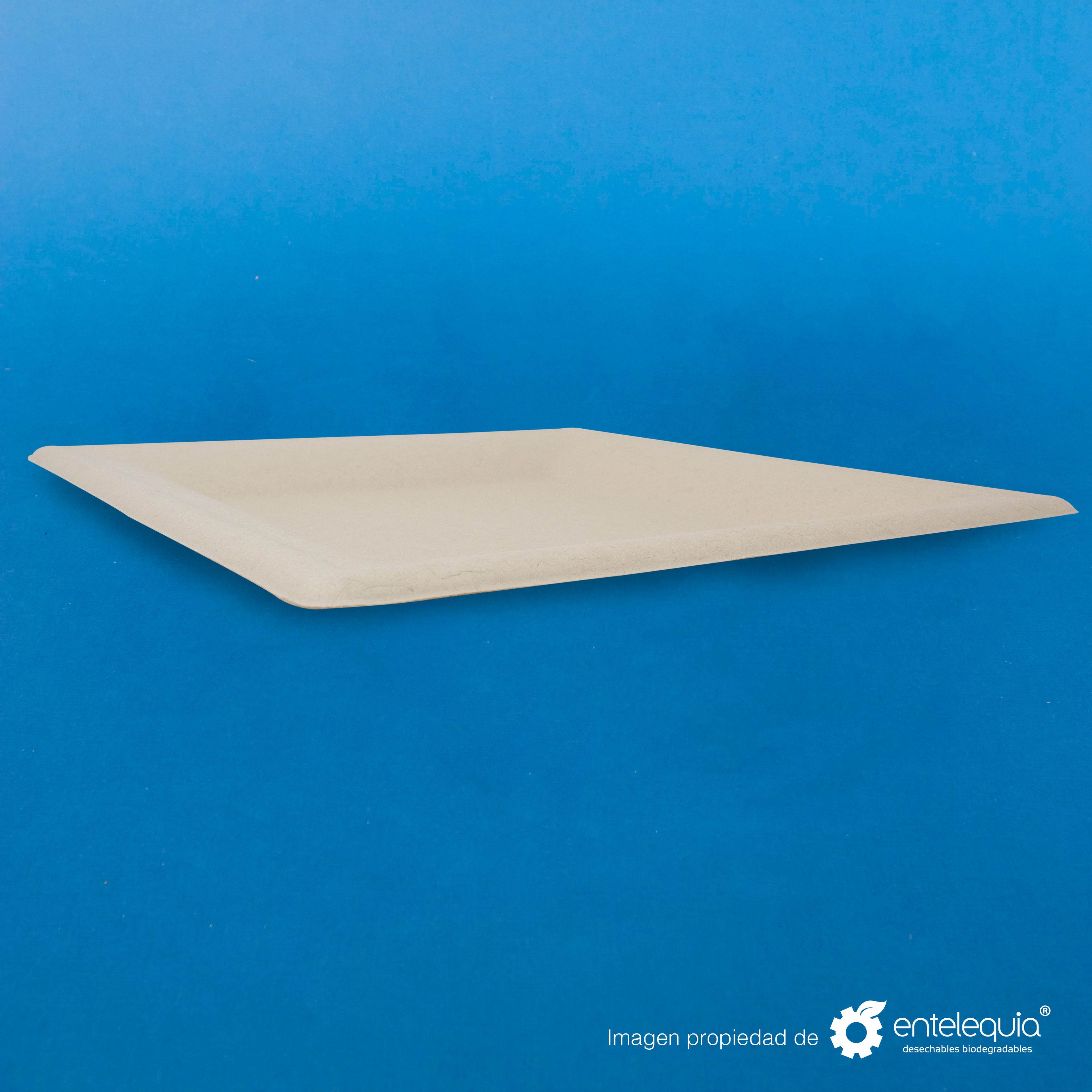 Plato cuadrado Paja de Trigo 10" - Desechable Biodegradable Entelequia 500 pzas
