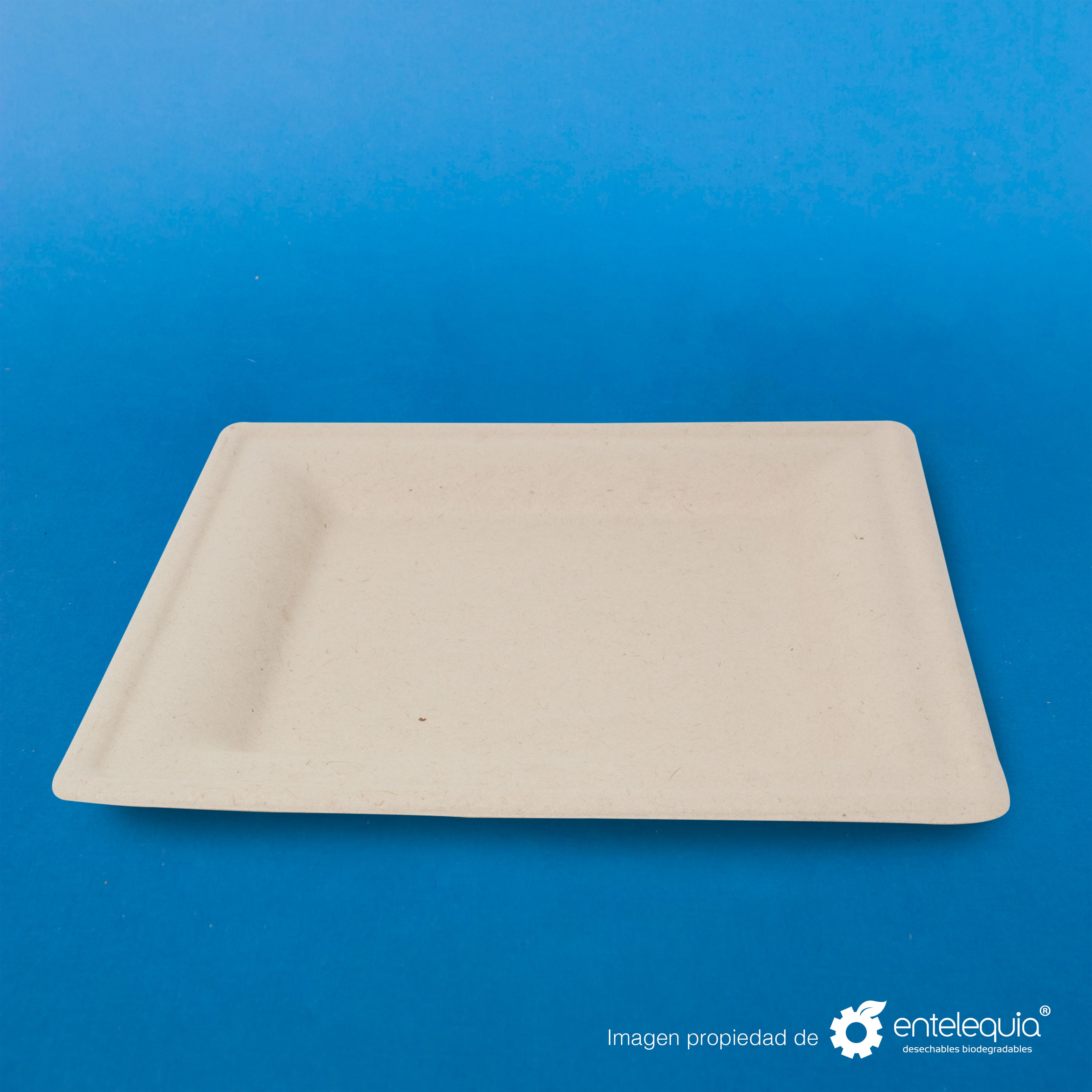 Plato cuadrado Paja de Trigo 6" PC6 - Desechable Biodegradable Entelequia 500 pzas