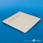 Plato cuadrado Paja de Trigo 6" PC6 - Desechable Biodegradable Entelequia 500 pzas