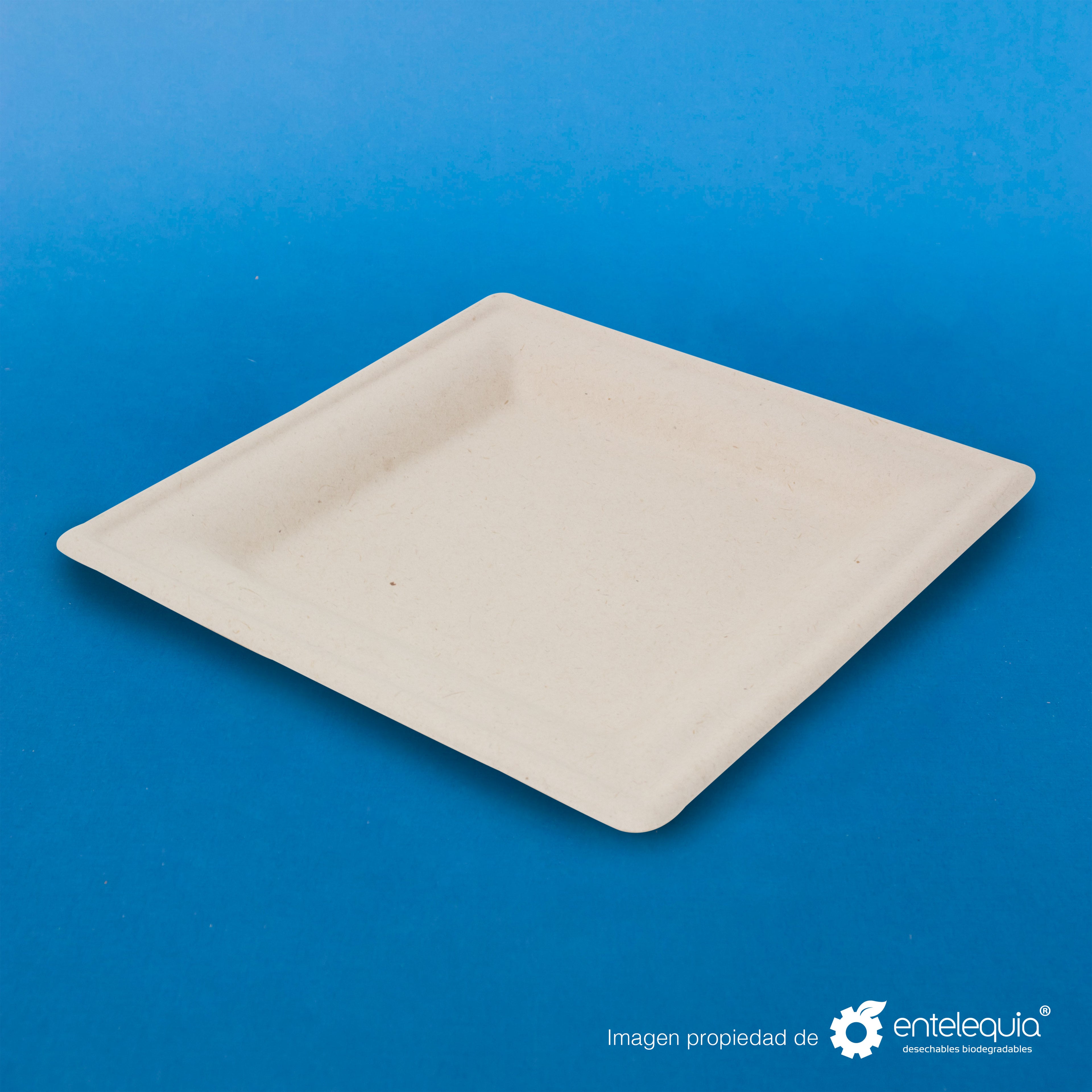 Plato cuadrado Paja de Trigo 6" PC6 - Desechable Biodegradable Entelequia 500 pzas