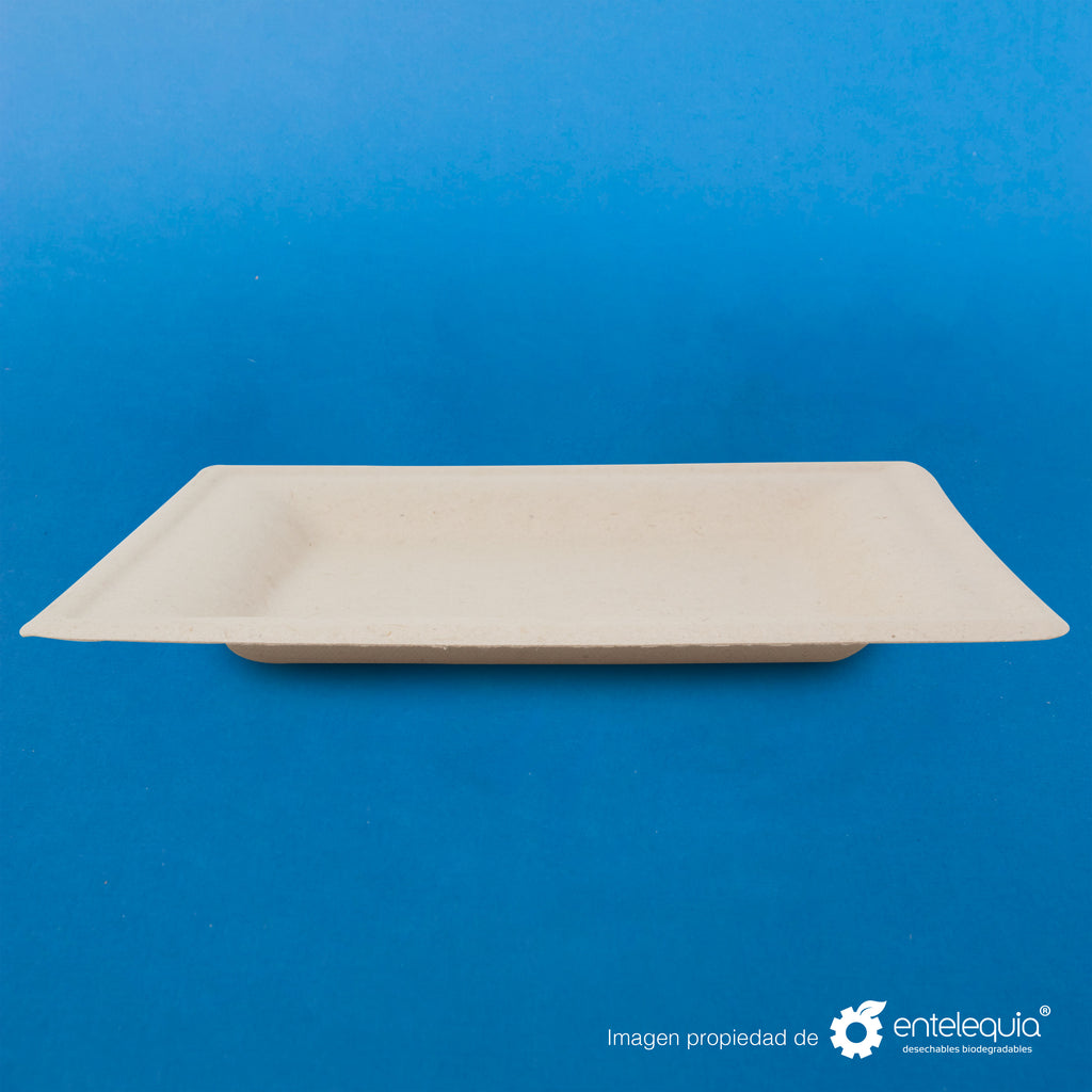 Plato cuadrado Paja de Trigo 6" PC6 - Desechable Biodegradable Entelequia 500 pzas