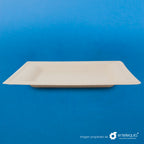 Plato cuadrado Paja de Trigo 6" PC6 - Desechable Biodegradable Entelequia 500 pzas