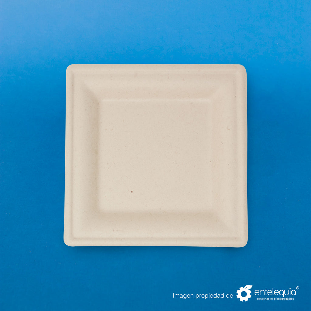 Plato cuadrado Paja de Trigo 8" PC8 - Desechable Biodegradable Entelequia 500 pzas
