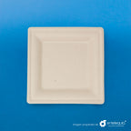 Plato cuadrado Paja de Trigo 8" PC8 - Desechable Biodegradable Entelequia 500 pzas