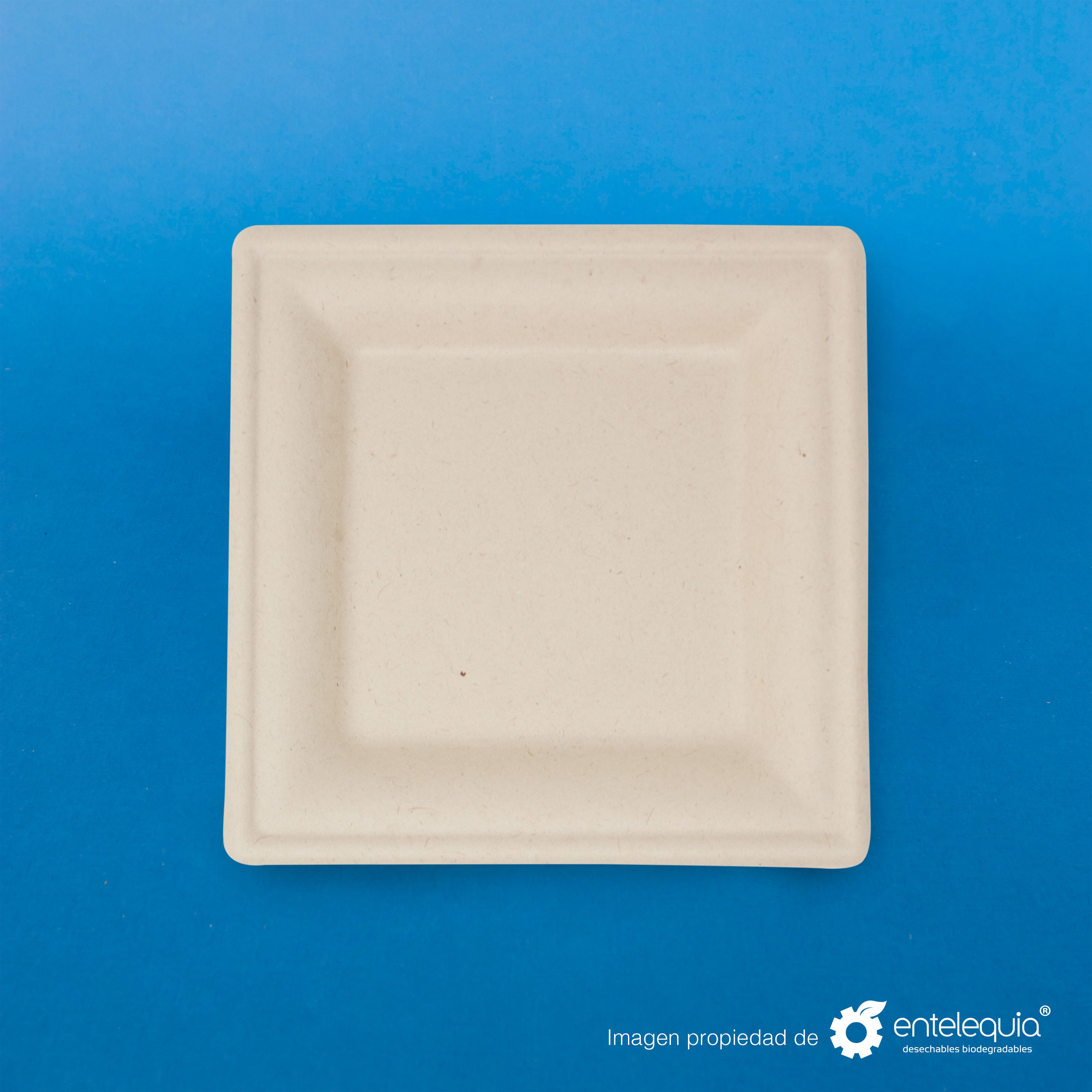 Plato cuadrado Paja de Trigo 8" PC8 - Desechable Biodegradable Entelequia 500 pzas