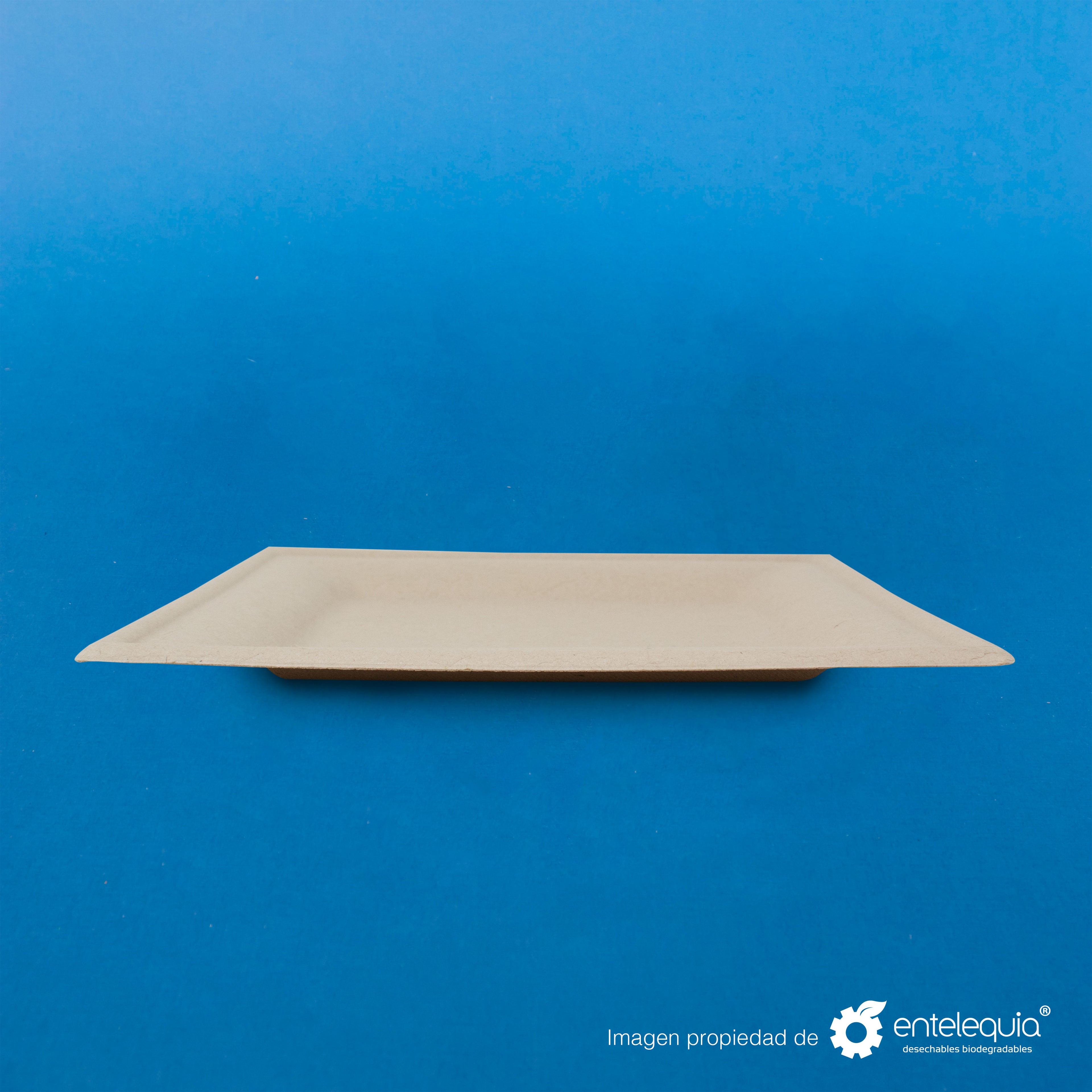 Plato cuadrado Paja de Trigo 8" PC8 - Desechable Biodegradable Entelequia 500 pzas